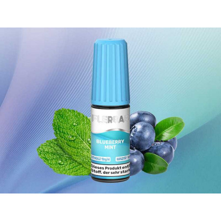 Flerbar Blueberry Mint Liquid 10 mg/ml