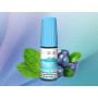 Flerbar Blueberry Mint Liquid 10 mg/ml
