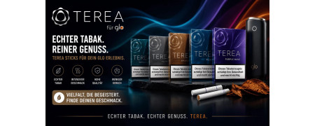 TEREA Sticks kaufen – Varianten für IQOS ILUMA