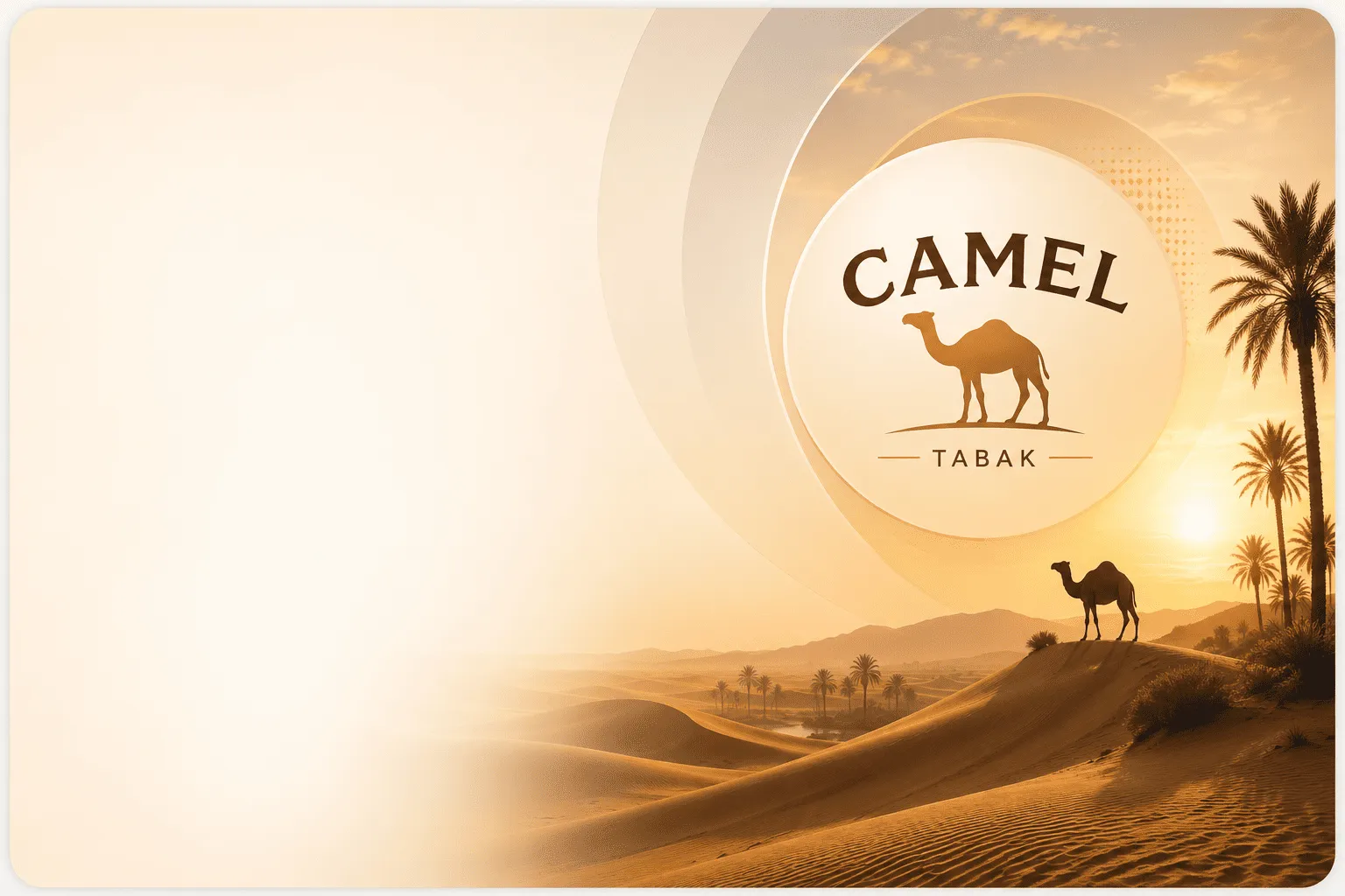 Camel Tabak Hero mit Wüstenlandschaft und Kamelmotiv