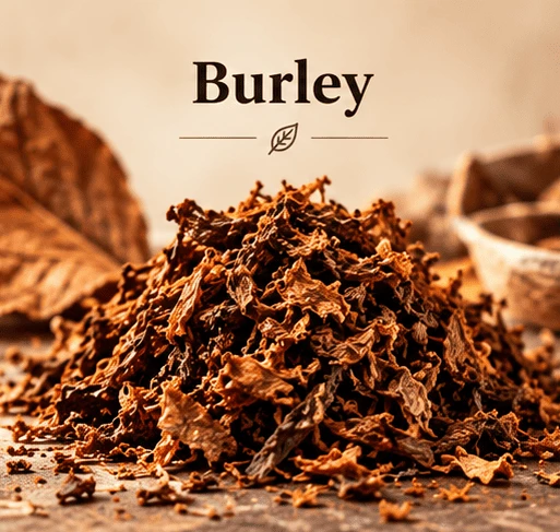Burley Tabak für Pfeifentabak