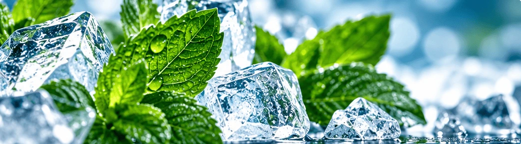 Pfefferminzblätter und Eiswürfel als Illustration der Geschmacksrichtung Peppermint Ice