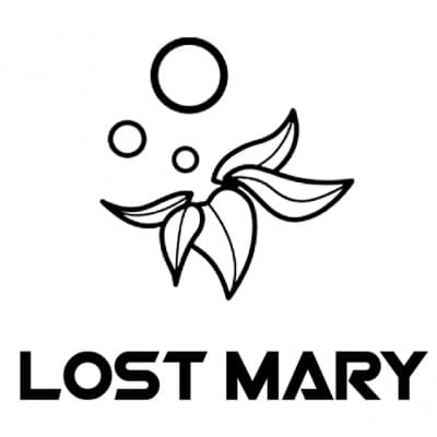 Lost Mary