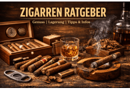 Zigarren & Zigarillos Ratgeber – Der komplette Guide für Einsteiger
