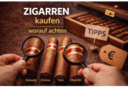 Zigarren kaufen – Worauf Anfänger wirklich achten sollten